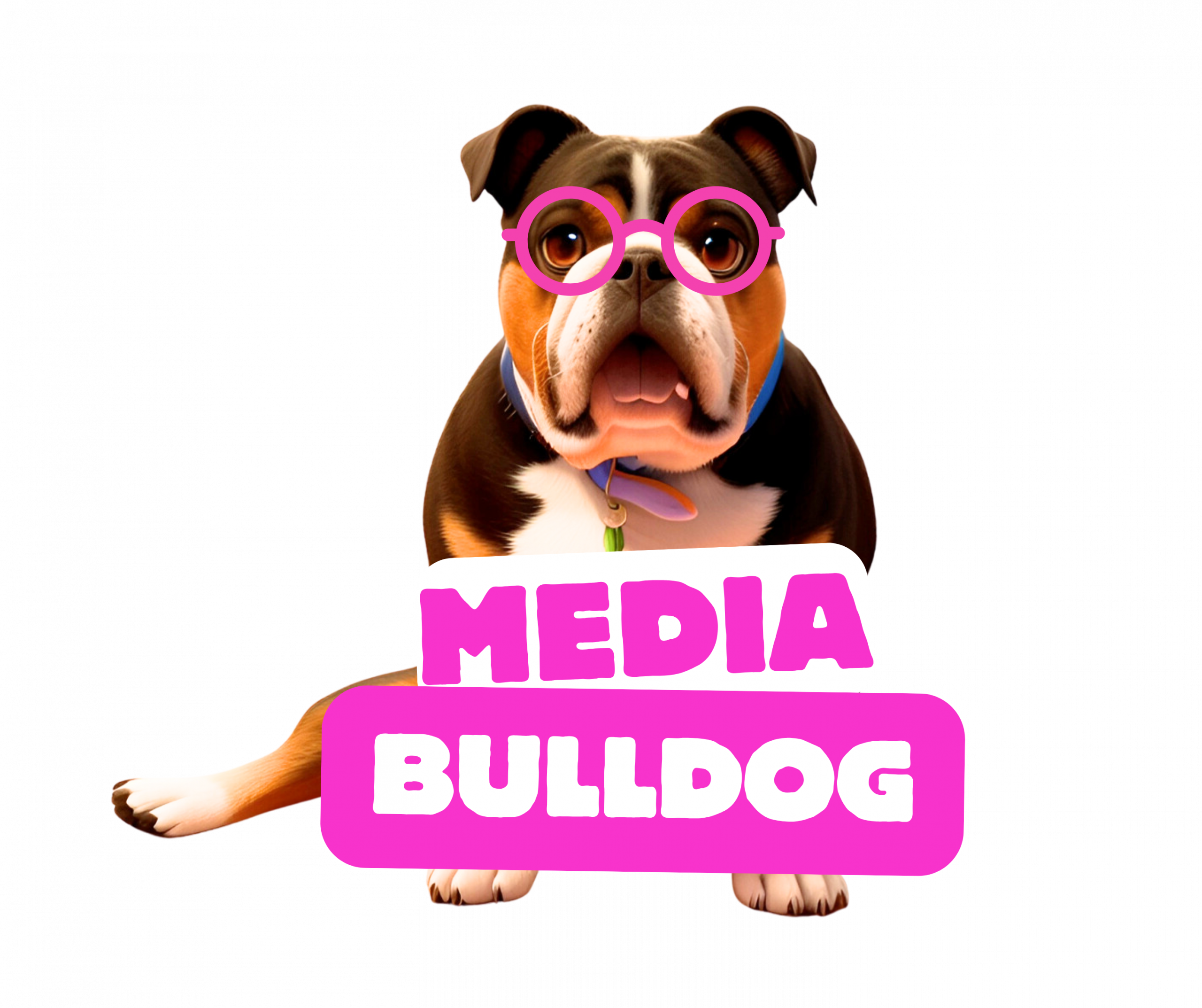 Media Bulldog